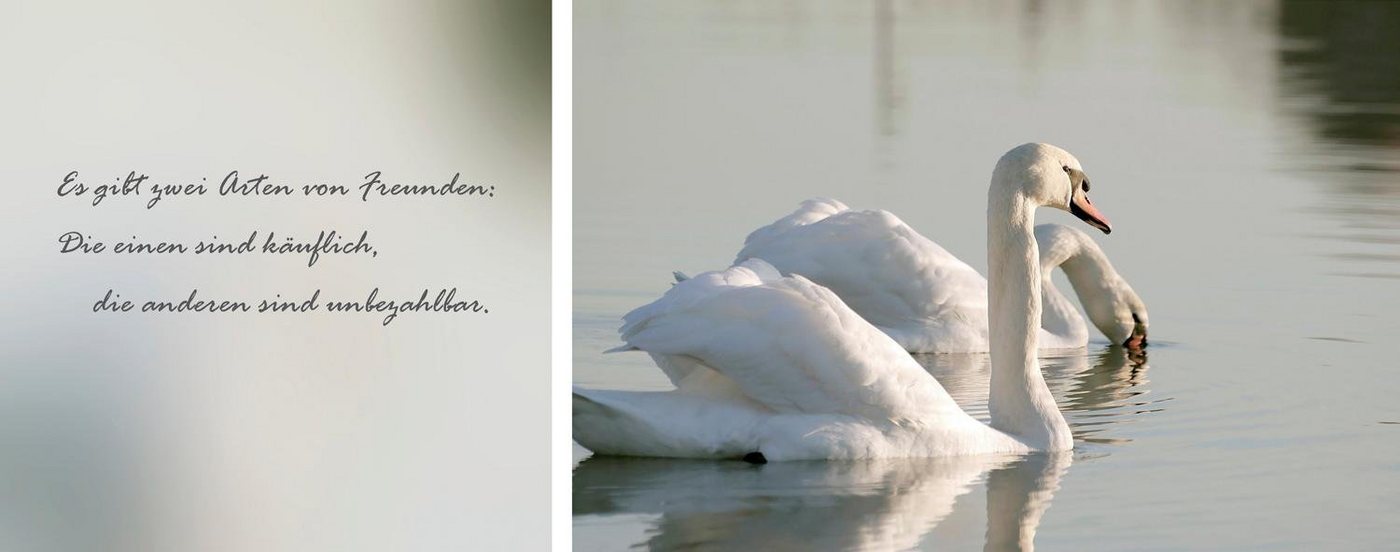 queence Leinwandbild Freunde, Kunst, Modern, Schriftzug, Schriftzüge, Schwanen Bilder, See, Seebilder, Seelandschaft, Spa, Spa Bilder, Sprüche, Sprüche & Texte (Set), Premium-Leinwandstoff, Handarbeit aus Deutschland, Zitat, 2er Set von queence