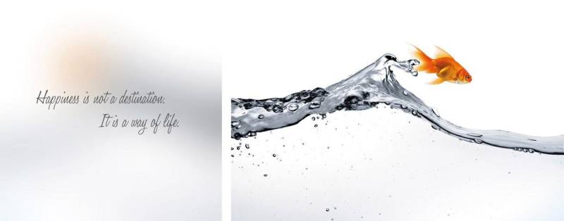 queence Leinwandbild Happiness, Kunst, Modern, Motivationsbilder, Schriftzug, Schriftzüge, Spa, Spa Bilder, Sprüche, Sprüche & Texte, Wassertiere (Set), Premium-Leinwandstoff, Handarbeit aus Deutschland, Spruch, 2er Set von queence