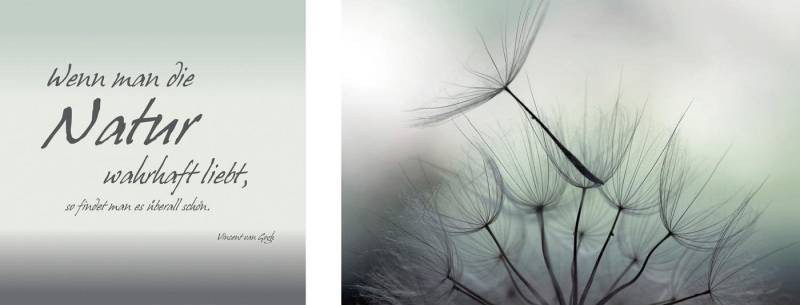 queence Leinwandbild Natur, Blumen, Blumenbilder, Kunst, Modern, Schriftzug, Schriftzüge, Spa, Spa Bilder, Sprüche, Sprüche & Texte (Set), Premium-Leinwandstoff, Handarbeit aus Deutschland, Zitat, 2er Set von queence