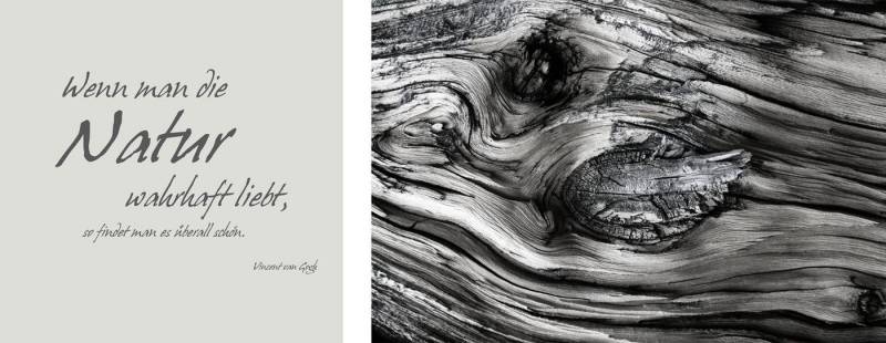 queence Leinwandbild Natur, Baum, Baumbilder, Kunst, Modern, Schriftzug, Schriftzüge, Spa, Spa Bilder, Sprüche, Sprüche & Texte (Set), Premium-Leinwandstoff, Handarbeit aus Deutschland, Zitat, 2er Set von queence