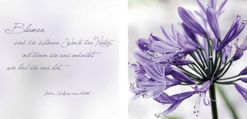 queence Leinwandbild Worte der Natur, Blätter, Blätterbilder, Kunst, Modern, Schriftzug, Schriftzüge, Spa, Spa Bilder, Sprüche, Sprüche & Texte (Set), Premium-Leinwandstoff, Handarbeit aus Deutschland, Zitat, 2er Set von queence
