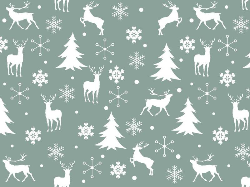 queence Spritzschutz Christmas, Schutz vor Fettspritzern, Küchenrückwand, Hitzebeständig, (1-tlg) von queence