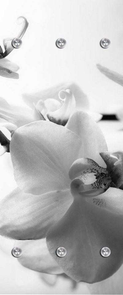 queence Wandgarderobe Orchidee - Blume - Pflanze - Garderobe aus hochwertigem Acrylglas (1 St), 50x120 cm - mit Edelstahlhaken von queence