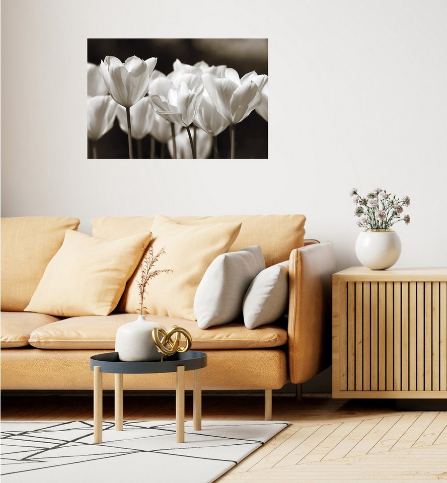 queence Wandsticker Black & White (1 St), Selbstklebend, kinderleichte Anbringung, Blumen, Blüten von queence