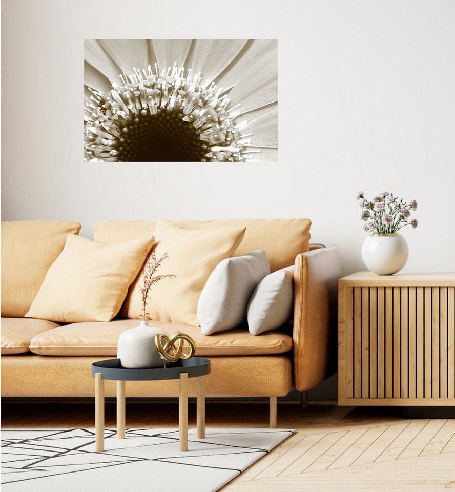 queence Wandsticker Sonnenblume (1 St), Selbstklebend, kinderleichte Anbringung von queence