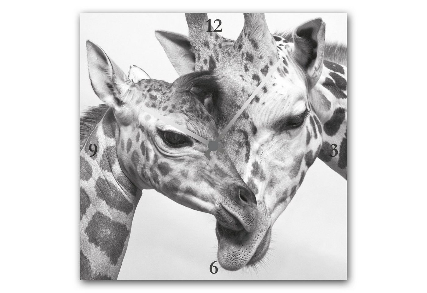 queence Wanduhr Giraffen (eckig, Acrylglas, Tiermotiv, Giraffen) von queence