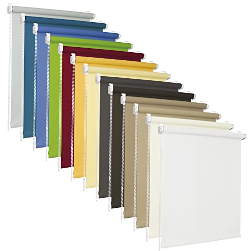 ROLLMAXXX Rollos ohne Bohren 65 x 220 cm Stoffmaß (Rollobreite 69 cm) Lichtdurchlässiges Rollo - Tageslichtrollo - inkl. Montagematerial von r rollmaxxx