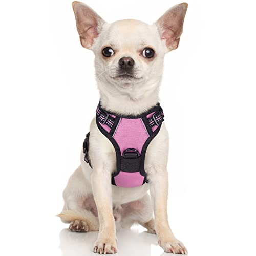 rabbitgoo Hundegeschirr Kleine Hunde Anti Zug Geschirr Hund mit Kontrolle No Pull Verstellbar Hundegeschirr Grosse Hunde Atmungsaktiv Reflexstreifen Brustgeschirr Hund Sichere Führung Rosa XS von rabbitgoo