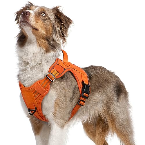 rabbitgoo Hundegeschirr mittelgroße Hunde, Anti Zug Geschirr Hund Verstellbar mit Griffe Verbreitert, Robust und Verschleißfest, Taktisches Hundegeschirr mit Metallschnallen zum Wandern(M, Orange) von rabbitgoo