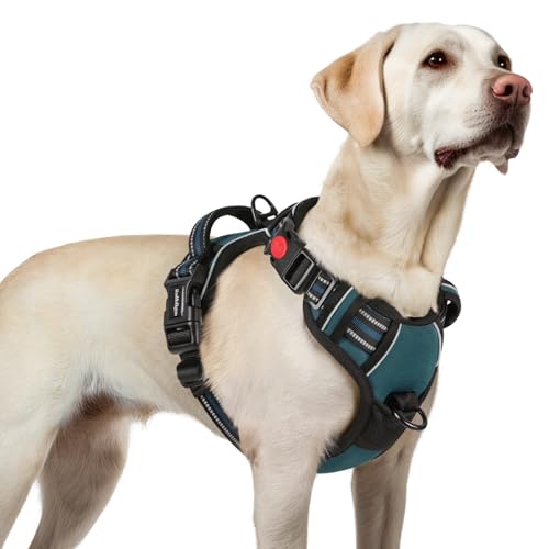 rabbitgoo Hundegeschirr Grosse Hunde, Verstellbare Geschirr Hund ohne Zug & Würgen, Anti Zug Hundegeschirr mit Griff, weich Gepolsterte Reflektierende Brustgeschirr, Beige L von rabbitgoo