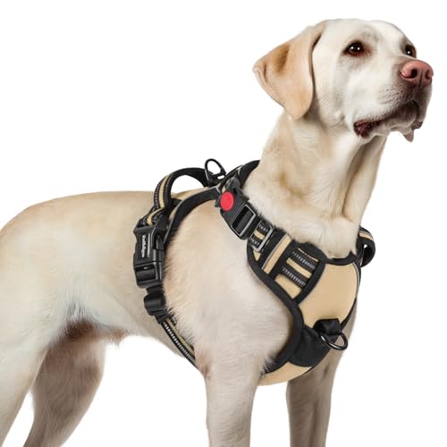 rabbitgoo Hundegeschirr Grosse Hunde, Verstellbare Geschirr Hund ohne Zug & Würgen, Anti Zug Hundegeschirr mit Griff, weich Gepolsterte Reflektierende Brustgeschirr, Dunkelgrün L von rabbitgoo
