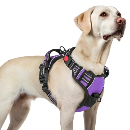 rabbitgoo Hundegeschirr Grosse Hunde, Verstellbare Geschirr Hund ohne Zug & Würgen, Anti Zug hundegeschirr mit Griff, weich Gepolsterte Reflektierende Brustgeschirr, Lila L von rabbitgoo