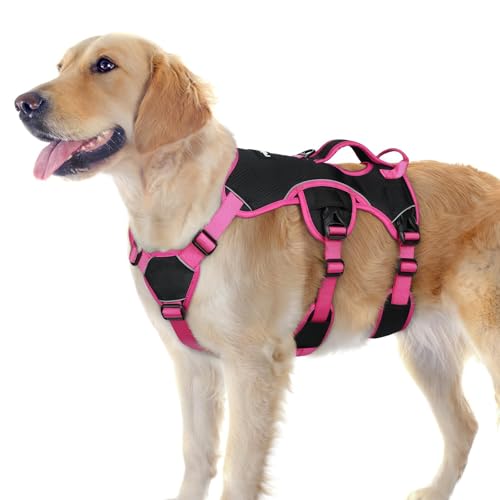 rabbitgoo Hundegeschirr Grosse Hunde Tragegriff, Ausbruchsicher Sicherheitsgeschirr Hund, Anti Zug Verstellbare Brustgeschirr, Reflektierendes Hundeweste Outdoor Sicher Kontrolle, Schwarz & Rosa, L rabbitgoo Hundegeschirr Grosse Hunde Tragegriff, Ausbruchsicher Sicherheitsgeschirr Hund, Anti Zug Verstellbare Brustgeschirr, Reflektierendes Hundeweste Outdoor Sicher Kontrolle, Schwarz & Rosa, L von rabbitgoo