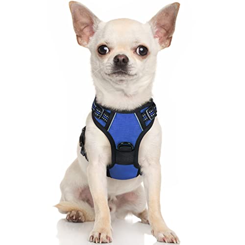 rabbitgoo Hundegeschirr Kleine Hunde Anti Zug Geschirr Hund mit Kontrolle No Pull Verstellbar Hundegeschirr Grosse Hunde Atmungsaktiv Reflexstreifen Brustgeschirr Hund Sichere Führung Blau XS von rabbitgoo