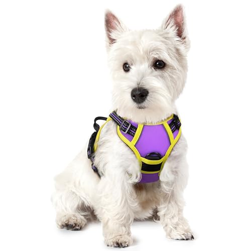 rabbitgoo Hundegeschirr Kleine Hunde Anti Zug Geschirr Hund mit Kontrolle No Pull Verstellbar Hundegeschirr Grosse Hunde Atmungsaktiv Reflexstreifen Brustgeschirr Hund Sichere Führung Lila+Gelb XS von rabbitgoo