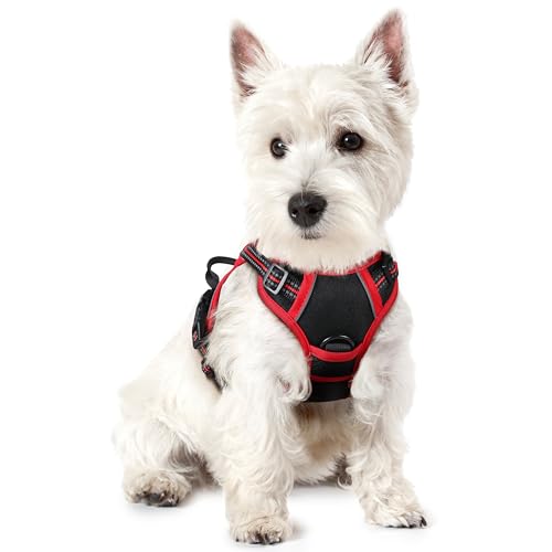 rabbitgoo Hundegeschirr Kleine Hunde, Anti Zug Geschirr mit Kontrolle, No Pull Verstellbar Hundegeschirr Grosse Hunde, Atmungsaktiv Reflexstreifen Brustgeschirr Sichere Führung Schwarz+Rot XS von rabbitgoo