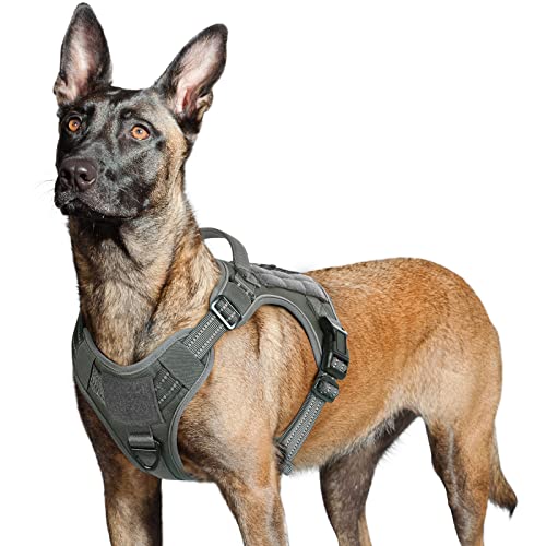 rabbitgoo Hundegeschirr Grosse Hunde, Anti Zug Geschirr Hund Verstellbar mit Griffe Verbreitert, Robust und Verschleißfest, Taktisches Hundegeschirr mit Metallschnallen zum Wandern(L, Grau) von rabbitgoo