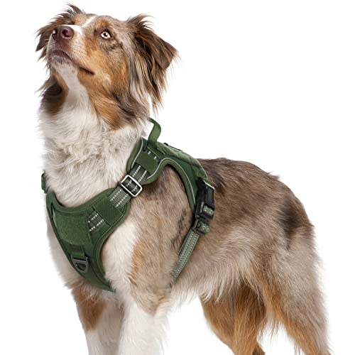 rabbitgoo Hundegeschirr mittelgroße Hunde, Anti Zug Geschirr Hund Verstellbar mit Griffe Verbreitert, Robust und Verschleißfest, Taktisches Hundegeschirr mit Metallschnallen zum Wandern(M, Grün) von rabbitgoo