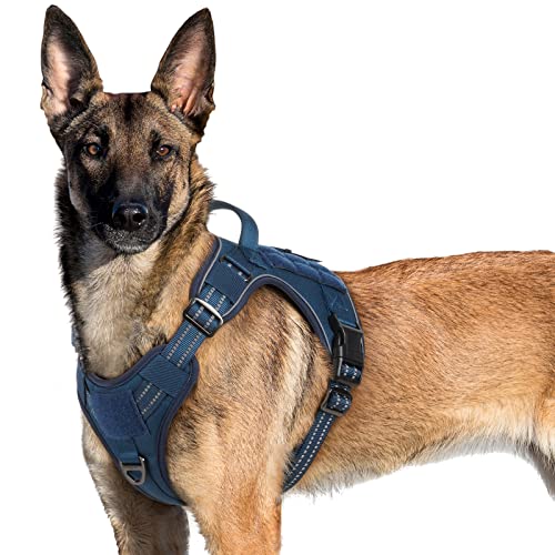 rabbitgoo Hundegeschirr Grosse Hunde, Anti Zug Geschirr Hund Verstellbar mit Griffe Verbreitert, Robust und Verschleißfest, Taktisches Hundegeschirr mit Metallschnallen zum Wandern(XL, Blau) von rabbitgoo