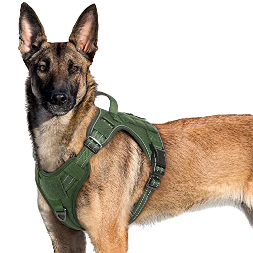 rabbitgoo Hundegeschirr Grosse Hunde, Anti Zug Geschirr Hund Verstellbar mit Griffe Verbreitert, Robust und Verschleißfest, Taktisches Hundegeschirr mit Metallschnallen zum Wandern(XL, Grün) von rabbitgoo