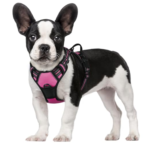 rabbitgoo Hundegeschirr Mittelgroße Hunde, Anti Zug Geschirr mit Kontrolle, No Pull Verstellbar Hundegeschirr Grosse Hunde, Atmungsaktiv Reflexstreifen Brustgeschirr Sichere Führung Rosarot S rabbitgoo Hundegeschirr Mittelgroße Hunde, Anti Zug Geschirr mit Kontrolle, No Pull Verstellbar Hundegeschirr Grosse Hunde, Atmungsaktiv Reflexstreifen Brustgeschirr Sichere Führung Rosarot S von rabbitgoo