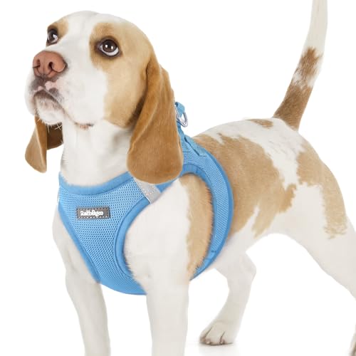 rabbitgoo Hundegeschirr Kleine Hunde, Step-in Welpengeschirr Weich Mesh für Spaziergänge, Atmungsaktives und Reflektierendes Brustgeschirr für Kleine und Mittelgroße Hunde, Hellblau, M rabbitgoo Hundegeschirr Kleine Hunde, Step-in Welpengeschirr Weich Mesh für Spaziergänge, Atmungsaktives und Reflektierendes Brustgeschirr für Kleine und Mittelgroße Hunde, Hellblau, M von rabbitgoo