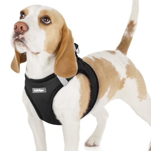 rabbitgoo Hundegeschirr Kleine Hunde, Step-in Welpengeschirr Weich Mesh für Spaziergänge, Atmungsaktives und Reflektierendes Brustgeschirr für Kleine und Mittelgroße Hunde, Schwarz, M rabbitgoo Hundegeschirr Kleine Hunde, Step-in Welpengeschirr Weich Mesh für Spaziergänge, Atmungsaktives und Reflektierendes Brustgeschirr für Kleine und Mittelgroße Hunde, Schwarz, M von rabbitgoo