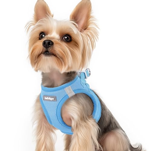 rabbitgoo Hundegeschirr Kleine Hunde, Step-in Welpengeschirr Weich Mesh für Spaziergänge, Atmungsaktives und Reflektierendes Brustgeschirr für Kleine und Mittelgroße Hunde, Hellblau, XS rabbitgoo Hundegeschirr Kleine Hunde, Step-in Welpengeschirr Weich Mesh für Spaziergänge, Atmungsaktives und Reflektierendes Brustgeschirr für Kleine und Mittelgroße Hunde, Hellblau, XS von rabbitgoo