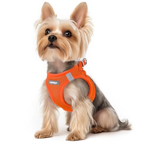 rabbitgoo Hundegeschirr Kleine Hunde, Step-in Welpengeschirr Weich Mesh für Spaziergänge, Atmungsaktives und Reflektierendes Brustgeschirr für Kleine und Mittelgroße Hunde, Orange, XS rabbitgoo Hundegeschirr Kleine Hunde, Step-in Welpengeschirr Weich Mesh für Spaziergänge, Atmungsaktives und Reflektierendes Brustgeschirr für Kleine und Mittelgroße Hunde, Orange, XS von rabbitgoo