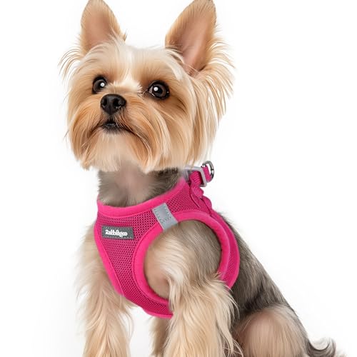 rabbitgoo Hundegeschirr Kleine Hunde, Step-in Welpengeschirr Weich Mesh für Spaziergänge, Atmungsaktives und Reflektierendes Brustgeschirr für Kleine und Mittelgroße Hunde, Rosarot, XS rabbitgoo Hundegeschirr Kleine Hunde, Step-in Welpengeschirr Weich Mesh für Spaziergänge, Atmungsaktives und Reflektierendes Brustgeschirr für Kleine und Mittelgroße Hunde, Rosarot, XS von rabbitgoo