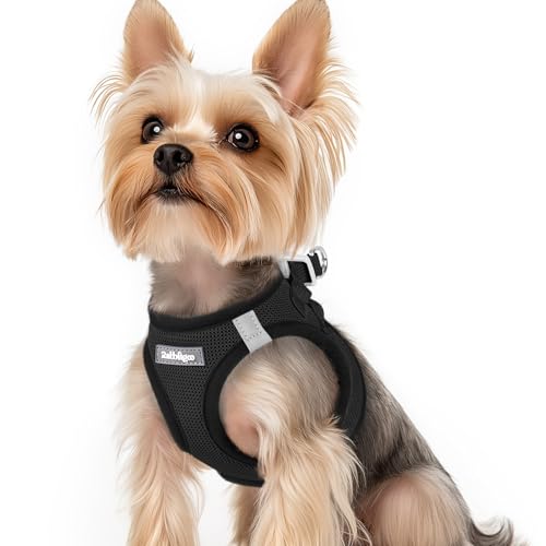 rabbitgoo Hundegeschirr Kleine Hunde, Step-in Welpengeschirr Weich Mesh für Spaziergänge, Atmungsaktives und Reflektierendes Brustgeschirr für Kleine und Mittelgroße Hunde, Schwarz, XS rabbitgoo Hundegeschirr Kleine Hunde, Step-in Welpengeschirr Weich Mesh für Spaziergänge, Atmungsaktives und Reflektierendes Brustgeschirr für Kleine und Mittelgroße Hunde, Schwarz, XS von rabbitgoo