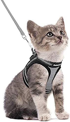 rabbitgoo Katzengeschirr Katzenleine Set Katzengeschirr mit Leine Geschirr Katzen ausbruchsicher verstellbar weich mit reflektierenden Streifen für Katzen Kitten Welpen Cat Harness Leash Grau S von rabbitgoo