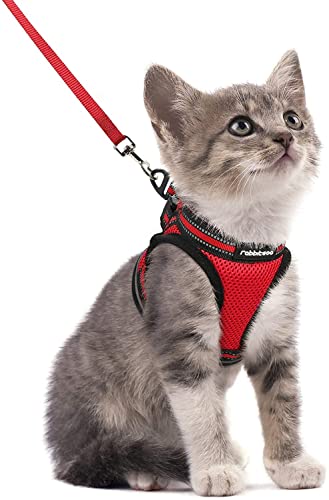 rabbitgoo Katzengeschirr Katzenleine Set Katzengeschirr mit Leine Geschirr Katzen ausbruchsicher verstellbar weich mit reflektierenden Streifen für Katzen Kitten Welpen Cat Harness Leash Rot S von rabbitgoo