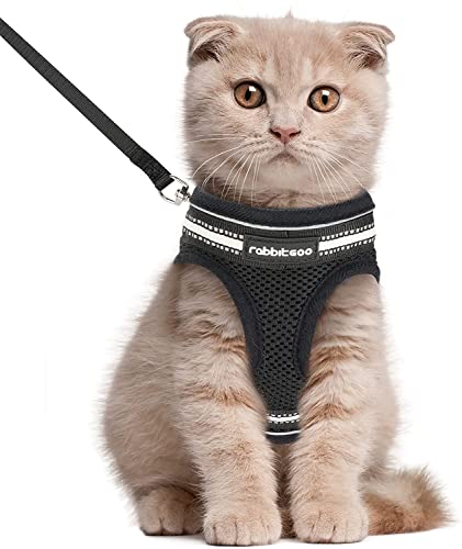 rabbitgoo Katzengeschirr Leine Set Geschirr für Katzen ausbruchsicher Katzenleine Kitten verstellbar weich Kätzchenweste mit reflektierenden Streifen für extra kleine kleine Katzen Cat Harness L von rabbitgoo