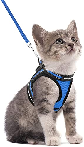 rabbitgoo Katzengeschirr Katzenleine Set Katzengeschirr mit Leine Geschirr Katzen ausbruchsicher verstellbar weich mit reflektierenden Streifen für Katzen Kitten Welpen Cat Harness Leash Blau S von rabbitgoo