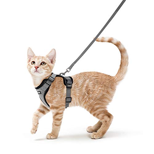 rabbitgoo Katzengeschirr mit Leine Ausbruchsicher Katzenleine Kitten Welpengeschirr Verstellbar Cat Harness Weich Brustgeschirr für Katzen kleine Hunde Kaninchen Reflektierend Katzenweste Grau S rabbitgoo Katzengeschirr mit Leine Ausbruchsicher Katzenleine Kitten Welpengeschirr Verstellbar Cat Harness Weich Brustgeschirr für Katzen kleine Hunde Kaninchen Reflektierend Katzenweste Grau S von rabbitgoo