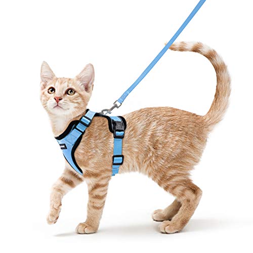 rabbitgoo Katzengeschirr mit Leine Ausbruchsicher Katzenleine Kitten Welpengeschirr Verstellbar Cat Harness Weich Brustgeschirr für Katzen kleine Hunde Kaninchen Reflektierend Streife Hellblau S rabbitgoo Katzengeschirr mit Leine Ausbruchsicher Katzenleine Kitten Welpengeschirr Verstellbar Cat Harness Weich Brustgeschirr für Katzen kleine Hunde Kaninchen Reflektierend Streife Hellblau S von rabbitgoo
