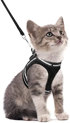 rabbitgoo Katzengeschirr Leine Set Geschirr für Katzen ausbruchsicher Katzenleine Kitten verstellbar weich Kätzchenweste mit reflektierenden Streifen für extra kleine kleine Katzen Cat Harness von rabbitgoo