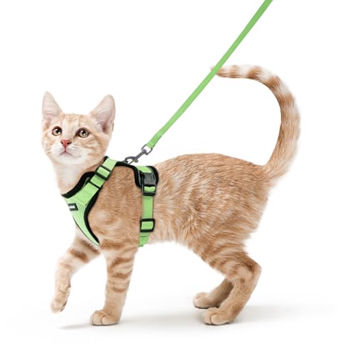 rabbitgoo Katzengeschirr mit Leine Softgeschirr für Katze Brustgeschirr Cat Harness Katzengarnitur ausbruchsicher verstellbar Katzenweste Hellgrün S von rabbitgoo