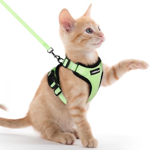 rabbitgoo Katzengeschirr mit Leine Softgeschirr für Katze Brustgeschirr Cat Harness Katzengarnitur ausbruchsicher verstellbar Katzenweste Hellgrün XXS von rabbitgoo