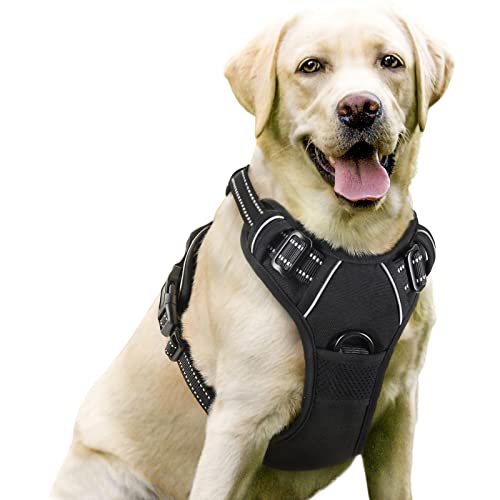 rabbitgoo Hundegeschirr Mittelgroße Hunde, Anti Zug Geschirr mit Kontrolle, No Pull Verstellbar Hundegeschirr Grosse Hunde, Atmungsaktiv Reflexstreifen Brustgeschirr Sichere Führung Schwarz L rabbitgoo Hundegeschirr Mittelgroße Hunde, Anti Zug Geschirr mit Kontrolle, No Pull Verstellbar Hundegeschirr Grosse Hunde, Atmungsaktiv Reflexstreifen Brustgeschirr Sichere Führung Schwarz L von rabbitgoo