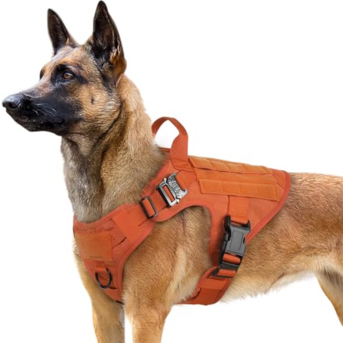 rabbitgoo No Pull Hundegeschirr Mittlere Grosse Hunde, Taktische Brustgeschirr mit MOLLE Griff Metallschnallen, Atmungsaktiv Militär Sicherheitsgeschirr, Verstellbares Gepolstert Hundeweste, L Orange von rabbitgoo