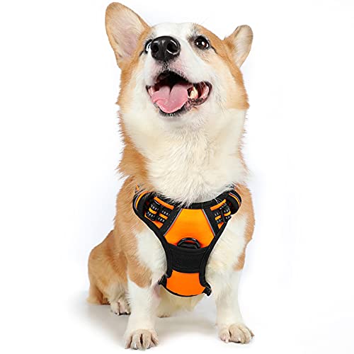 rabbitgoo Hundegeschirr Mittelgroße Hunde Anti Zug Geschirr Hund mit Kontrolle No Pull Verstellbar Hundegeschirr Grosse Hunde Atmungsaktiv Reflexstreifen Brustgeschirr Hund Sichere Führung Orange M von rabbitgoo