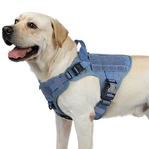 rabbitgoo No Pull Hundegeschirr Mittlere Grosse Hunde, Taktische Brustgeschirr mit MOLLE Griff Metallschnallen, Atmungsaktiv Militär Sicherheitsgeschirr, Verstellbares Gepolstert Hundeweste, M Blau von rabbitgoo