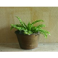 Kamm Herd Eimer/Handgeschmiedet Eisengriff Primitiv Antiker Wasserkessel Rustikal Kaminzubehör Americana Kamm Herd Eimer/Handgeschmiedet Eisengriff Primitiv Antiker Wasserkessel Rustikal Kaminzubehör Americana von raggedrustyvintage