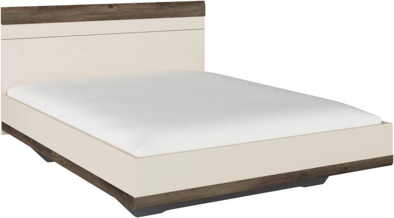 rauch Futonbett Bett Doppelbett Holzbett SAJO, mit Farb-Absetzungen in komfortabler Sitzhöhe MADE IN GERMANY von rauch