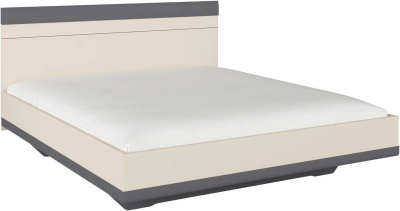 rauch Futonbett Bett Doppelbett Holzbett SAJO, mit Farb-Absetzungen in komfortabler Sitzhöhe MADE IN GERMANY von rauch
