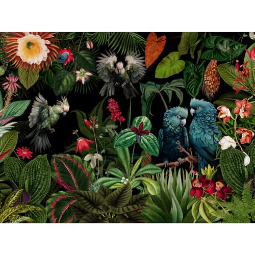 raxxa Premium-Tischset | Mystischer Zauberhafter tropischer Nacht Dschungel | 2er Set von raxxa