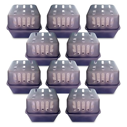 reilo 10x Luftentfeuchter Box leer für bis zu 450g Raumentfeuchter Granulat, Entfeuchterbox kompatibel mit gängigen Entfeuchtern für Wohnraum, Schlafzimmer, Keller reilo 10x Luftentfeuchter Box leer für bis zu 450g Raumentfeuchter Granulat, Entfeuchterbox kompatibel mit gängigen Entfeuchtern für Wohnraum, Schlafzimmer, Keller von reilo