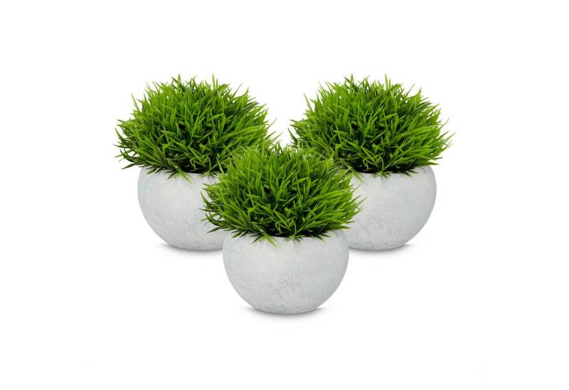 Kunstpflanze im Topf 3er Set Gras, relaxdays, Höhe 12 cm, B Kunstpflanze im Topf 3er Set Gras, relaxdays, Höhe 12 cm, B von relaxdays